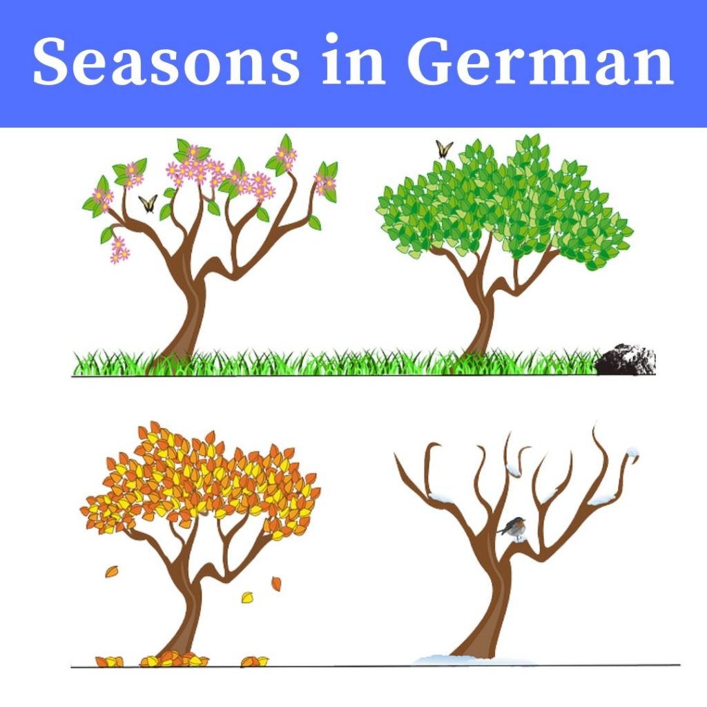 Seasons in German with audios Medusa Academy of Foreign Languages